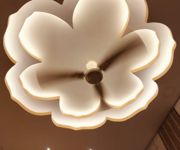 WhatsApp Image 2024-04-05 at 1.10.23 PM (3)