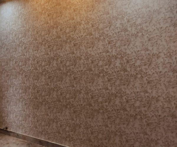 WhatsApp Image 2025-03-05 at 1.55.17 PM