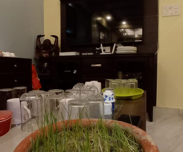 WhatsApp Image 2025-03-16 at 2.46.48 PM (6)